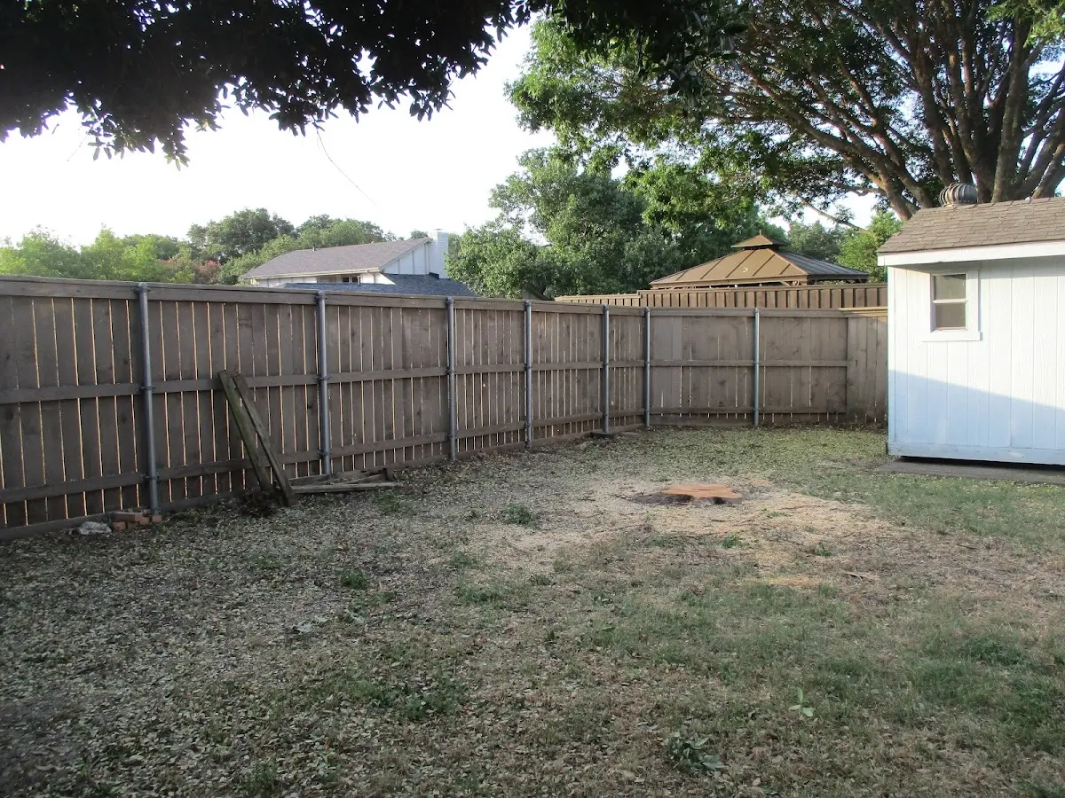 Cleared yard after professional tree removal in Bighorn